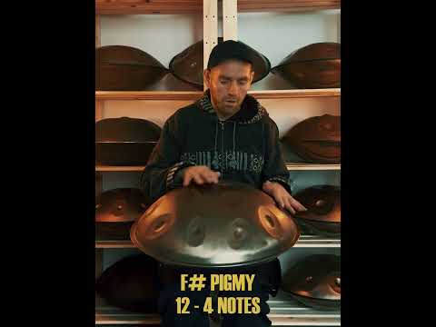 Zendo Sounds Handpan F#Pigmy 12