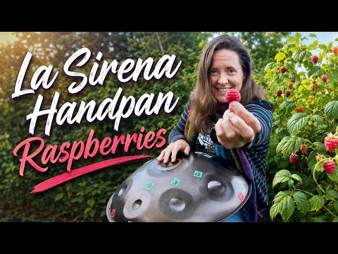 Sweet handpan music for ripening raspberries