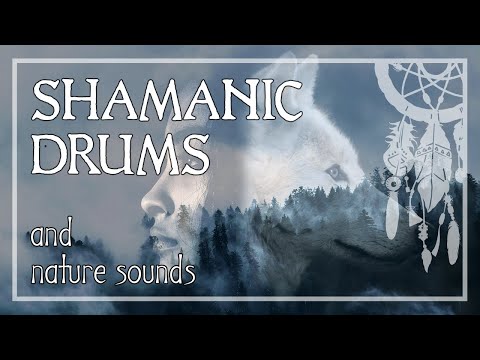 SHAMANIC DRUMS • Deep Forest Sounds • Journey for Trance & Meditation • Activate Your Higher Mind
