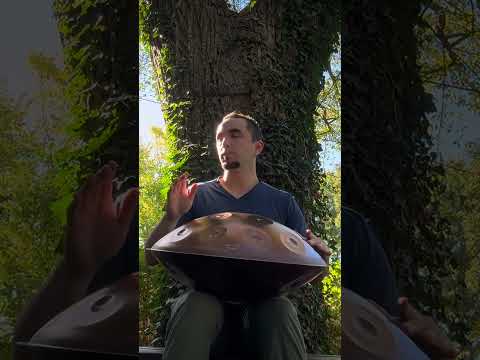 🌳 This is your invitation to zen out for a few minutes ☀️🛸  #handpanmeditation #meditationmusic