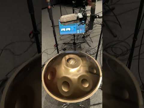 Neotone Studio Vlog – Sampling Session with David Kuckhermann