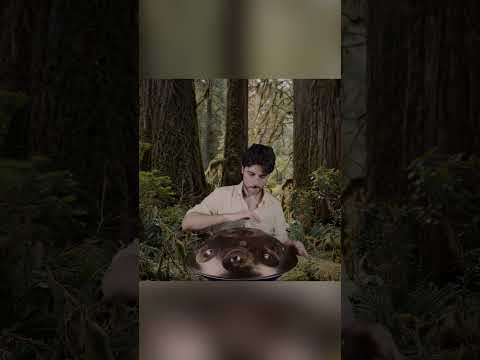 Music Discovered in the Moment 🌲 | Planet Ding
