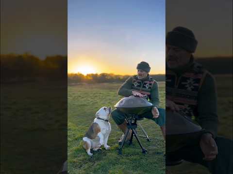 Crisp winter mornings ✨ 🐶 #handpanmusic #handpan