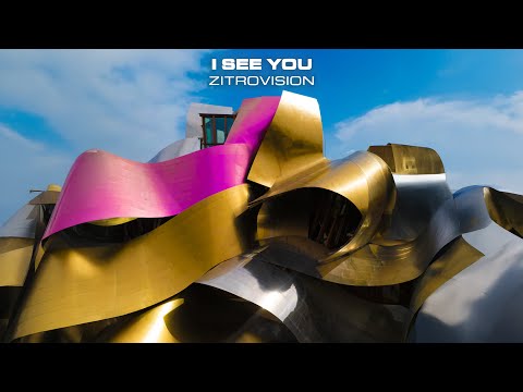 Zitrovision - I See You (Official Audio)