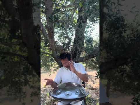Love & Constancy | Alwin Steinle | Handpan La Sirena #handpan #handpanmusic #music #music #peace