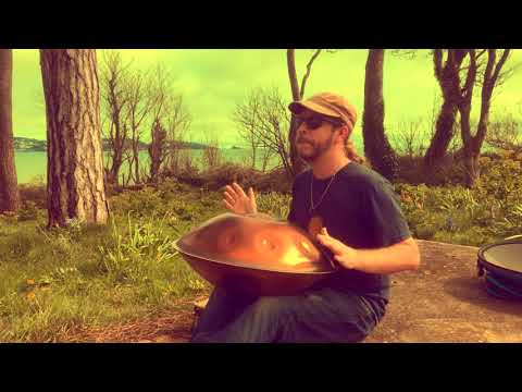 5 Minute Handpan improvisation in nature with and the birds and bumble bees