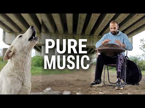 When Dog Love Meets Hang Drum Frequencies ✨🐶🎵