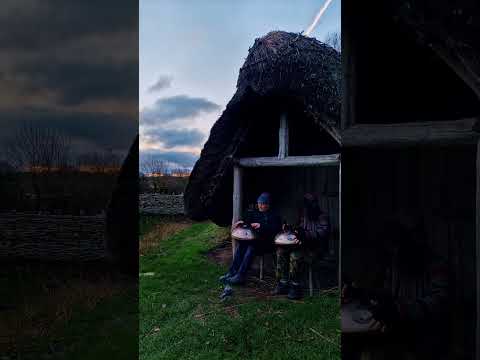 Precious moments... | Acero D Aegean 20 & F#2 Low Pygmy 16 | Handpan Music