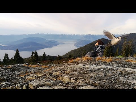 Snow Falling | Handpan music | Kiyoshi Iio - Handpan Journey | Vancouver, Canada