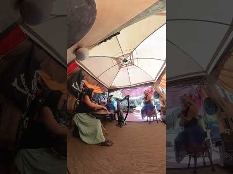 Handpan (Stephanie Law), Fiddle (Belinda salvidge), & Harp (Hank Hogan)