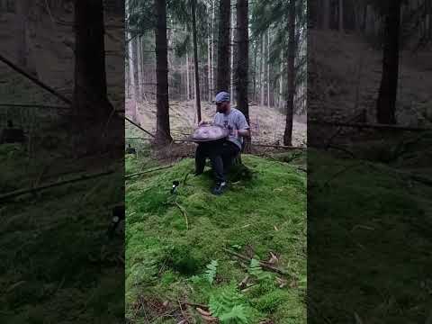 Singing with the Rain