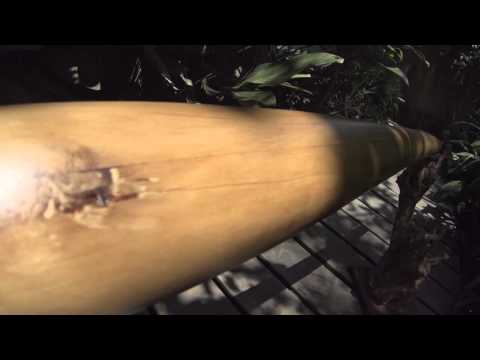 Didgeridoo from Rasamala wood 156 cm – F