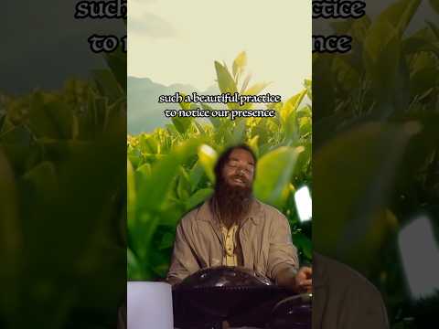 #Presence #Allows #Us to #See #Ourselves and #Avoid Our #Usual #Pitfalls