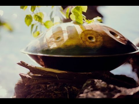 SoHung handpan scale Dorian D. Соханг хэндпан строй Дориан Д