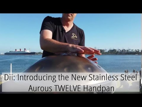 Dii: Introducing the New Stainless Steel Aurous TWELVE Handpan