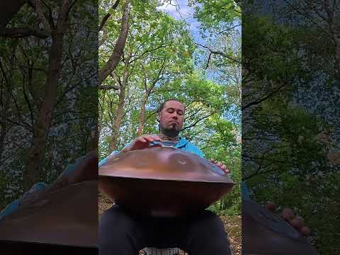 I love the woods and the animals love the handpan #handpan #meditation #positivevibes