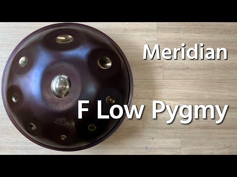 【ハンドパン試奏】Meridian / F Low Pygmy 試奏 1