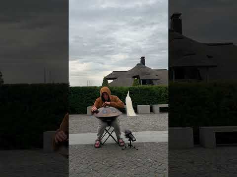 🦚 Peacocks and Handpan 🦚 STANDARD Dorian (A) 🛸 IMAGO 🛸 #хендпан #ханг #хангдрам #hang #hangdrum