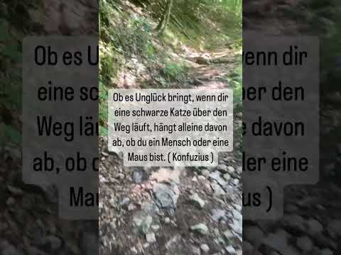 Handpan Musik mit Zitaten #shorts, D Kurd 8+1 Edelstahl