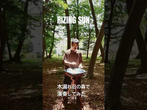 Rising Sun｜木漏れ日の森で演奏してみた #steeltonguedrum #ハンドパン #handpan #handpanmusic #リラックス音楽 #ヒーリングミュージック