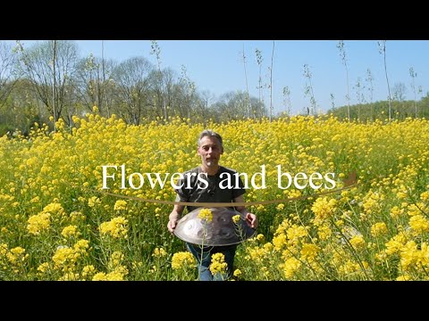 Relaxation meditation handpanmusic /
