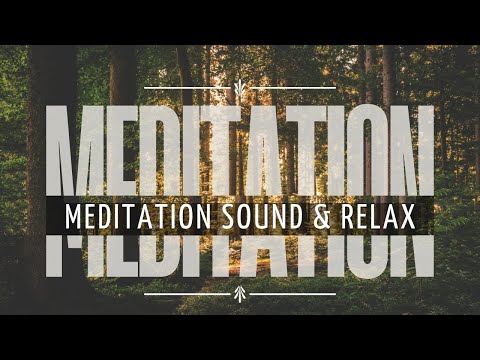 Handpan Music for Meditation & Deep Relaxation | Calming Sound for Yoga & Healing Live Session