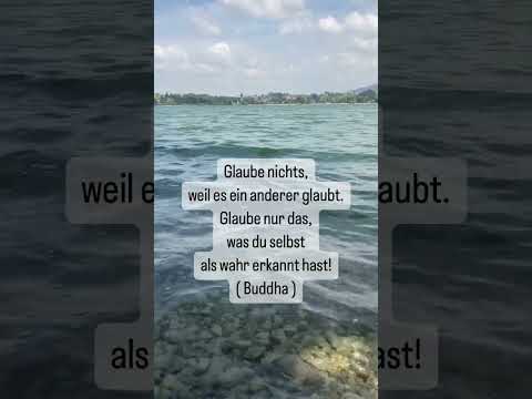 Handpan Musik mit Zitaten #shorts, D Kurd 8+1 Edelstahl