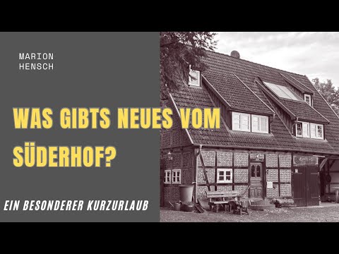 Intuitive Handpanmusik auf dem Süderhof (Baalshof) | ein besonderer „place to be“