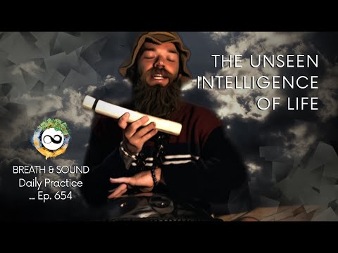 Have Trust | Abundance Meditation | Guided Breathwork & Sound | Ep. 654