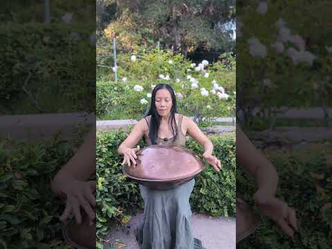 handpan in the garden - c# minor harmonic 22 handromeda