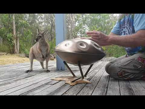 Kangaroo Handpan I Yishama I F2 Pygmy I Daddy O Dank