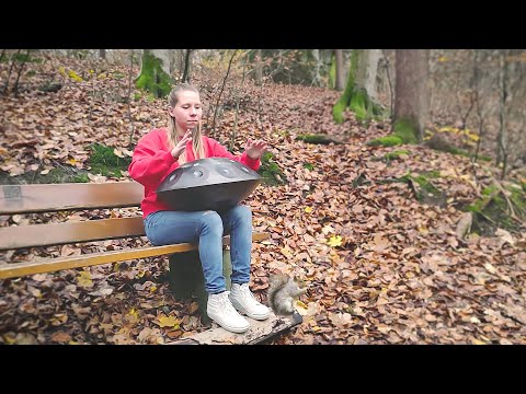 Squirrel's Journey | Improvised Handpan Song by Lavinia Gerster