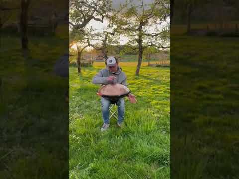 Ein Apfelgarten, die untergehende Sonne und die handpan. Frohe Ostern! #handpan #handpanlernen #love