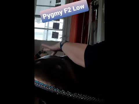 5.6.26 Klock-Slap, Pygmy F2 Low, intuitiv, Memory #music #Handpan #relax #percussion