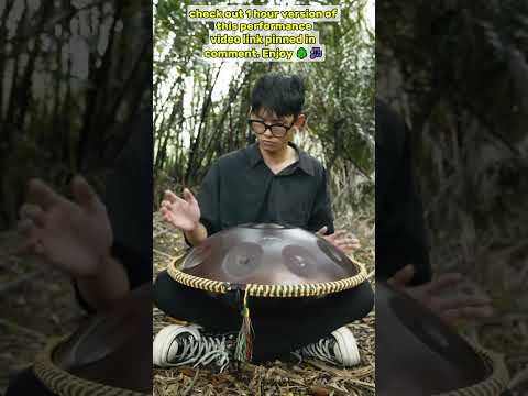 Self Awareness - handpan music for meditation