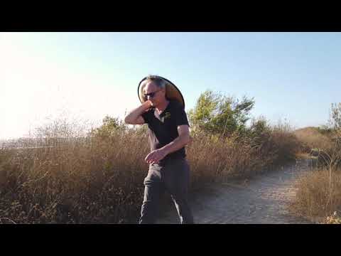 Dii: The Aurous TWELVE Handpan Featuring David Beery