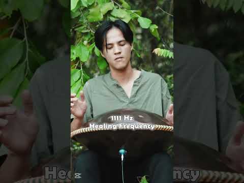 Happiness among the green | handpan music @Handpanion