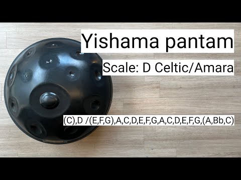 【ハンドパン販売】Yishama Pantam D Celtic/Amara 20 試奏2
