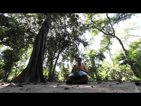Música no Bosque | Phelipe Agnelli