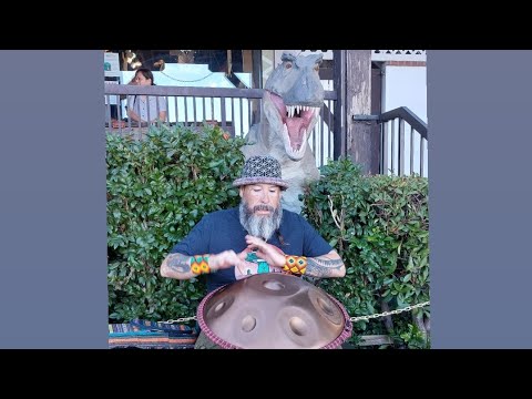 Hamsa Handpan for T-Rex, Birds, Ducks &  People in Lake Arrowhead