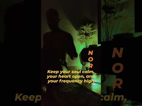 I don’t play the handpan… I let the silence speak through it. 🎶✨#Handpan #InnerPeace #Nor369