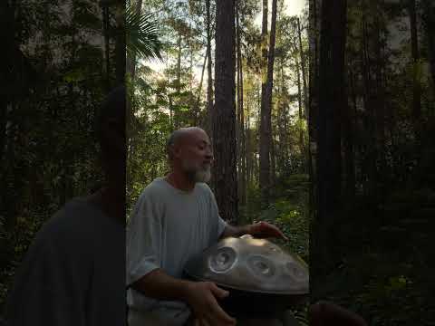 Handpan in the Woods