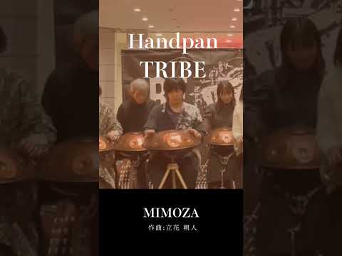 心を黄色く染める、春のまどろみ | Handpan Tribe「Mimoza」