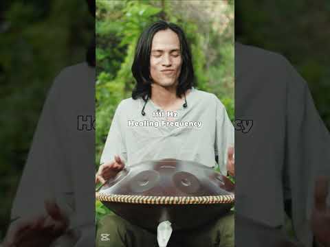 Immerse with the forest | handpan music @Handpanion