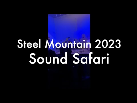 Steel Mountain Handpan Gathering 2023 Performance