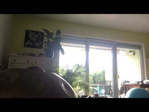 Lucky Erika … by Jutta Gieber (A2 Celtic Handpan, please use headphones)