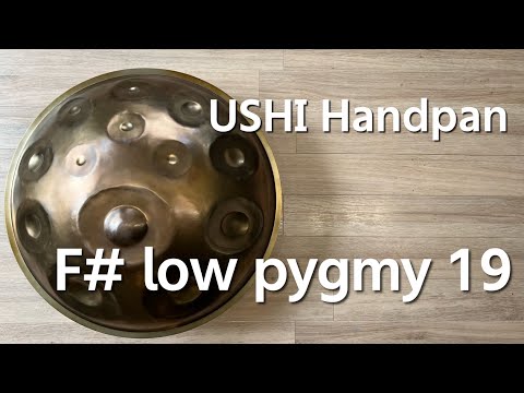 【レンタル用ハンドパン】USHI Handpan / F# low pygmy 19 試奏1