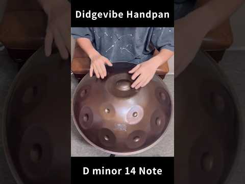 디지바이브 핸드팬 D minor 14 Note Scale Handpan #handpan #handpanmusic #핸드팬 #디지바이브 #디지바이브핸드팬