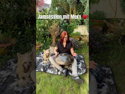 Erste Outdoor Jamsession mit meinem Hund #handpanmusic #handpan