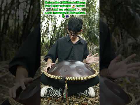 Living in harmony - handpan music @Handpanion